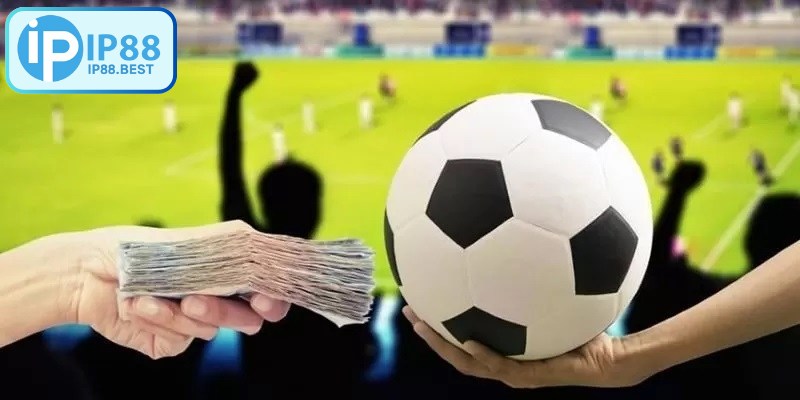 Mẹo của dân chơi là đợi kèo ổn định, thường là 30 phút trước khi bóng lăn