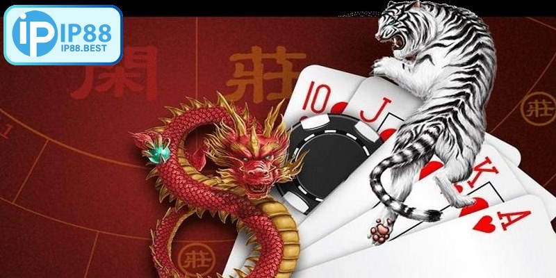 Yếu tố quan trọng không kém trong rồng hổ là lựa chọn nền tảng đáng tin cậy