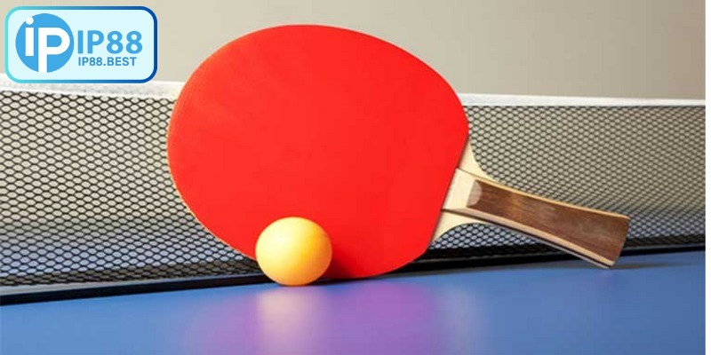 Bóng bàn ngày càng được quan tâm nhờ tính tốc độ cùng sự kịch tính